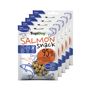 Priboljšek za psa - LOSOS 840g (12x70g)